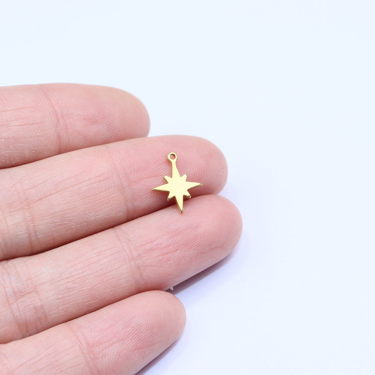 Aço inoxidável Mini Star Charm - Vacuum Chamber Small avaliação e preço